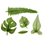 Preview: Silikonform - Tropische Blätter